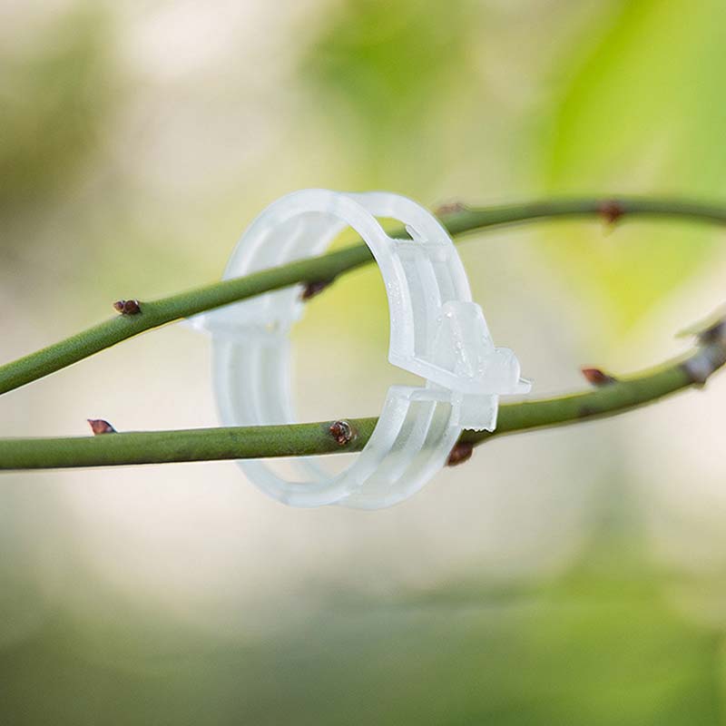 Il supporto delicato che non danneggia i tuoi fiori e ortaggi. ✨🌸--Clip di fissaggio per piante
