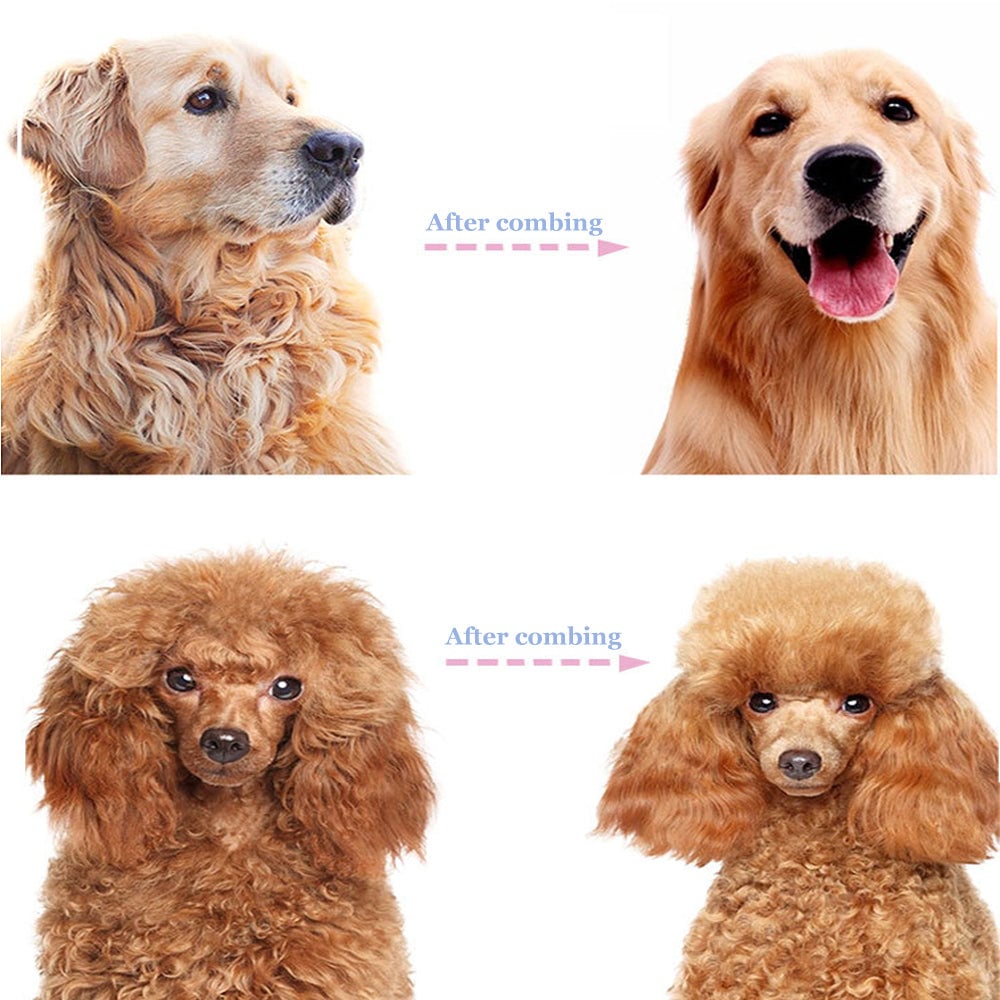 🐾  Last Day Special Price!  🏆 Professional Deshedding Tool For Dogs And Cats – Gentle On Skin, Efficient Grooming & Comfortable Grip Design ✂️